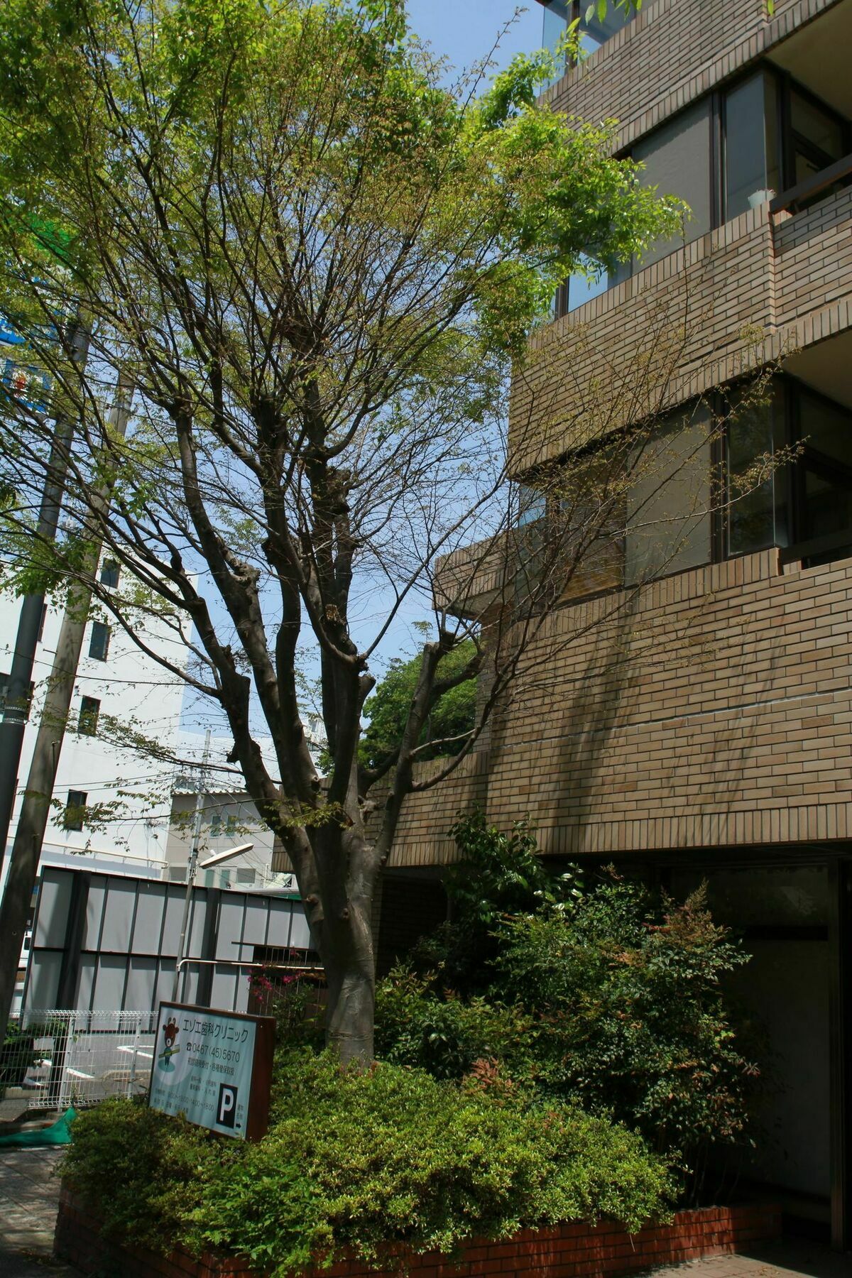 Apartment Dohei